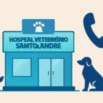 Hospital Veterinário Santo André Gratuito Telefone hospital veterinário santo andré gratuito telefone