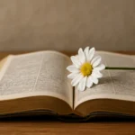 Versículo Inspirador: Encontre Mensagens de Fé para Transformar o Seu Dia versículo inspirador